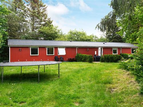 Holiday Home/Apartment - 20 persons -  - Lyngshuse - Kølkær - 7400 - Herning