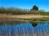 Bild 3 - Blick über's Wasser