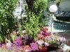 Image 29 - Outside