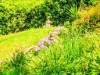 Bild 33 - Ude