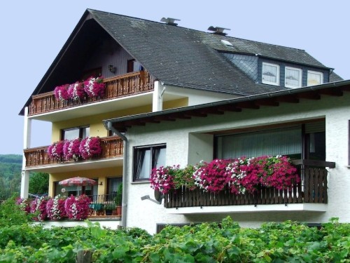 Sommerhus - 2 personer -  - 56841 - Traben-Trarbach\/Wolf