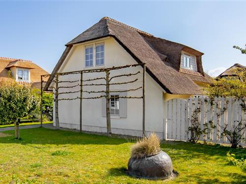 Semesterhus/Semesterlägenhet - 6 personer -  - 4357RD - Domburg