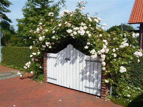 Feriehus - 2 personer -  - 26434 - Wangerland Horumersiel