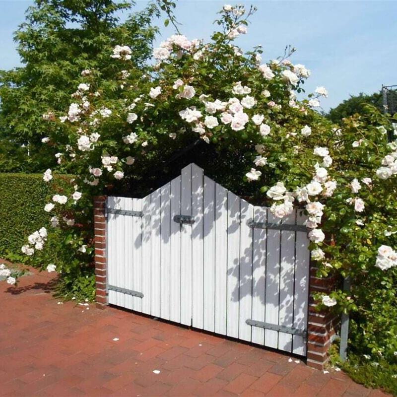 Sommerhus - 2 personer -  - 26434 - Wangerland Horumersiel