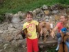 Billede 5