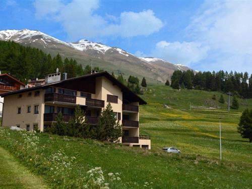 Holiday apartment - 4 persons -  - Chaunt da Crusch - 7524 - Zuoz