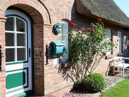 Sommerhus - 4 personer -  - Buurnstrat - 25938 - Oevenum