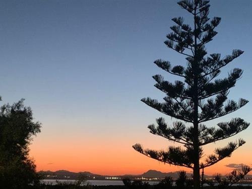 Holiday apartment - 4 persons -  - 03188 - La Mata