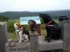 Bild 20