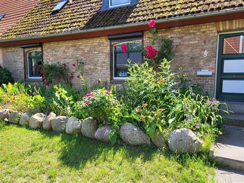 Sommerhus - 5 personer -  - Kuppentiner Weg - 19395 - Barkow