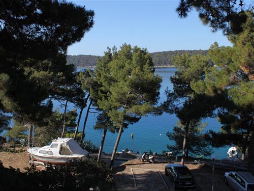 Holiday Home/Apartment - 3 persons -  - Mali Lošinj - 51550 - Mali Lošinj