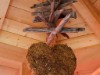 Bild 22