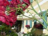 Billede 4