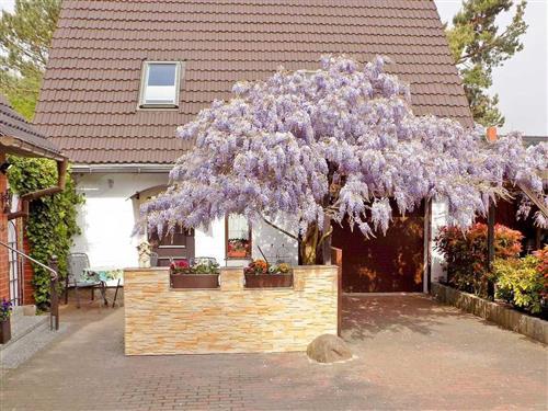 Holiday Home/Apartment - 3 persons -  - Waldstraße - 17459 - Ückeritz