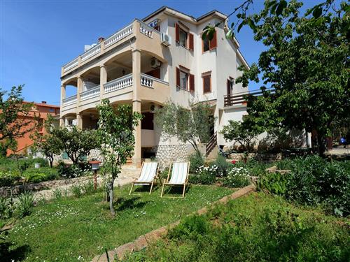 Ferielejlighed - 3 personer -  - Poljana Dragutina Domjanica - 23000 - Zadar