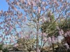 Image 18 - Outside