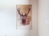 Billede 28 - Inde