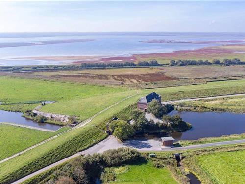 Ferieleilighet - 4 personer -  - Hattstedter Koog - 25856 - Hattstedtermarsch