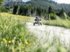 Billede 115