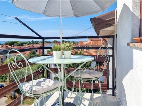 Ferienhaus - 2 Personen -  - 52466 - Novigrad