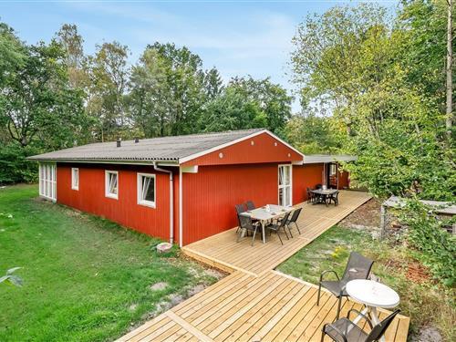 Sommerhus - 10 personer -  - C Q Lunøes Vej - Fjellerup - 8585 - Glesborg