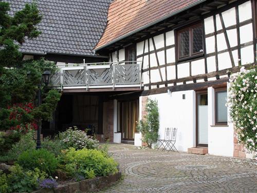 Holiday apartment - 1 person -  - Hauptstr. - 76872 - Minfeld
