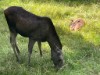 Bilde 4