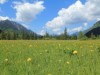 Bild 19