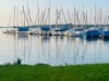 Billede 28
