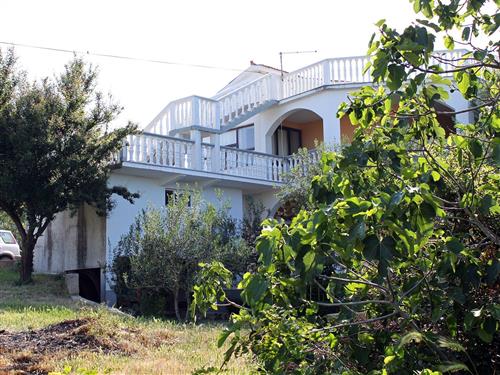 Holiday apartment - 13 persons -  - Vladimira Nazora - 23249 - Povljana