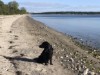 Bilde 32 - Område