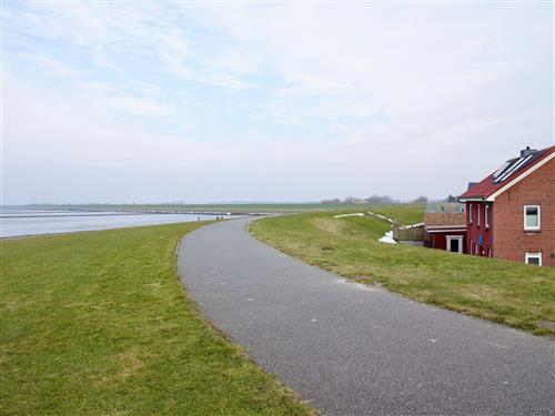 Holiday apartment - 3 persons -  - Norderhafen - 25845 - Nordstrand