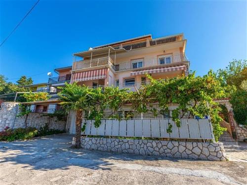 Ferielejlighed - 5 personer -  - Crikvenica/Dramalj - 51265