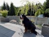 Bild 12 - Innen