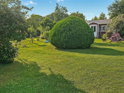 Ferielejlighed - 3 personer -  - Max-Reimann-Straße - 18556 - Altenkirchen Auf Rügen