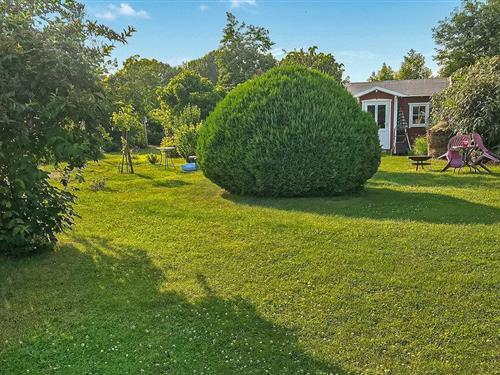 Ferienwohnung - 3 Personen -  - Max-Reimann-Straße - 18556 - Altenkirchen Auf Rügen