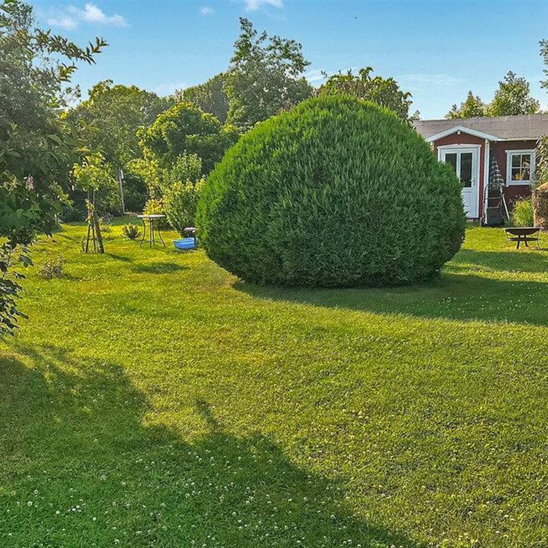 Ferielejlighed - 3 personer -  - Max-Reimann-Straße - 18556 - Altenkirchen Auf Rügen