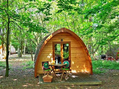Ferienhaus - 4 Personen -  - IP28 6ex - Bury St Edmunds