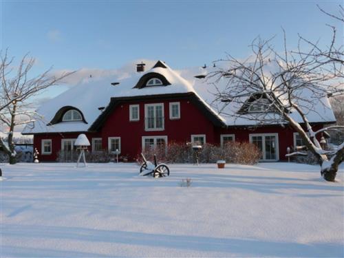 Ferielejlighed - 5 personer -  - Alt Reddevitz, Nr. - 18586 - Mönchgut