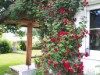 Bild 16