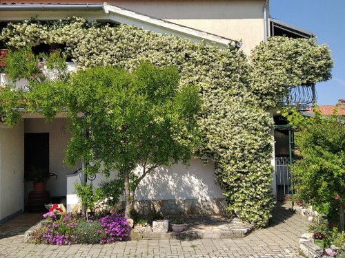 Ferielejlighed - 4 personer -  - 52440 - Dracevac