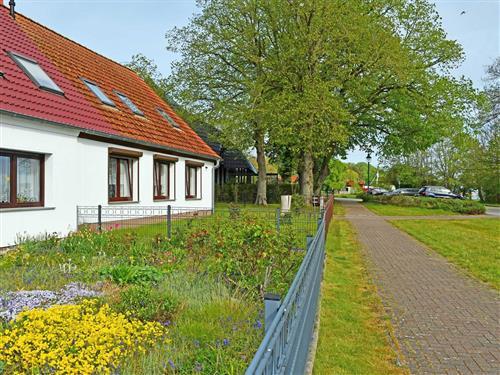 Holiday Home/Apartment - 4 persons -  - Am Bodden - 18528 - Ralswiek