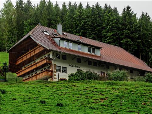 Bondehus - 4 personer -  - 77796 - Mühlenbach-Windenbach