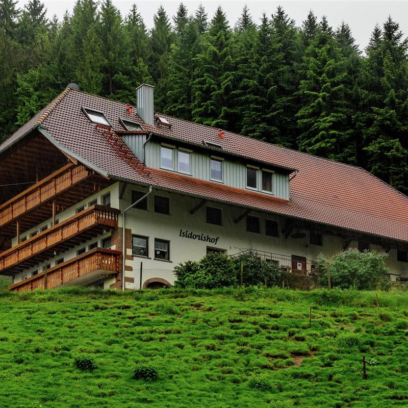 Bondehus - 4 personer -  - 77796 - Mühlenbach-Windenbach