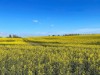 Bild 9 - Ude