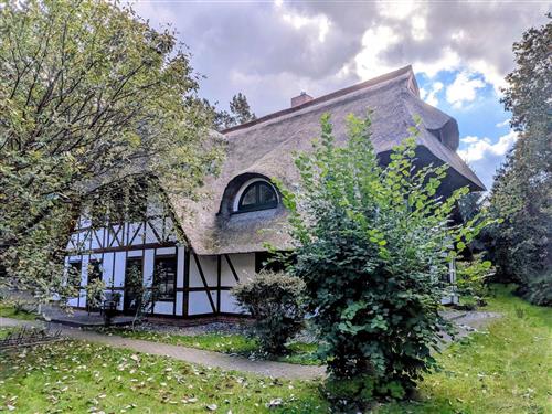 Ferielejlighed - 4 personer -  - Rosengang - 18375 - Born