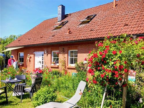 Ferieleilighet - 4 personer -  - Lindenstraße - 18292 - Krakow Am See / Alt-Sammi