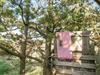 Bild 25 - Terrasse
