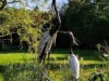 Bild 19