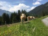 Bild 16